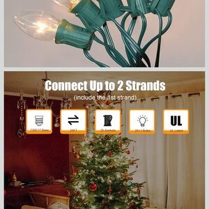 Wondershop Holiday String Lights with Green Wire